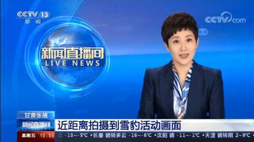 仁化媒体爆料新闻事件视频,新闻事件视频背后的真相